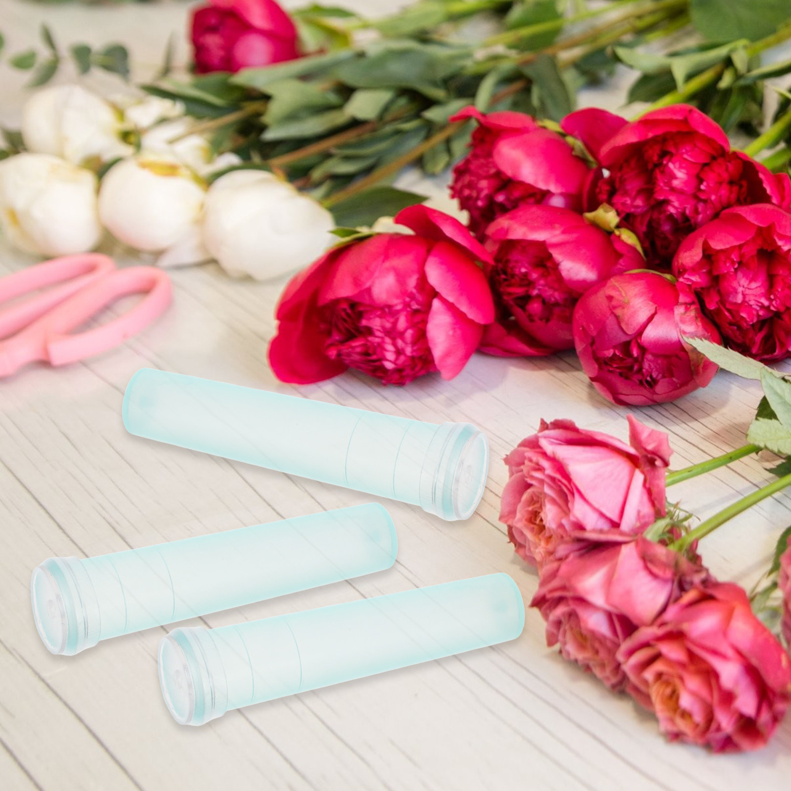 100 Pezzi Tubi per Conservazio - The Florist Supply recensione e prezzo